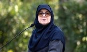 واکنش سخنگوی دولت به بیانیه جبهه اصلاحات/ حاکمیت و دولت متناسب با منافع ملی اتخاذ رویکرد می‌کند