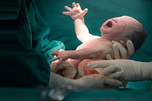 جزییات تازه از اتفاقی عجیب در بیمارستانی در شهریار؛ نوزاد در یخچال سردخانه تکان می‌خورد و نفس می‌کشید/ ارسال پرونده به پزشکی قانونی