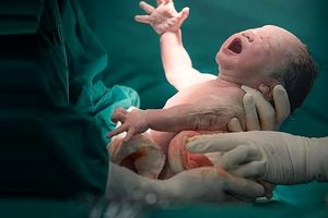 جزییات تازه از اتفاقی عجیب در بیمارستانی در شهریار؛ نوزاد در یخچال سردخانه تکان می‌خورد و نفس می‌کشید/ ارسال پرونده به پزشکی قانونی
