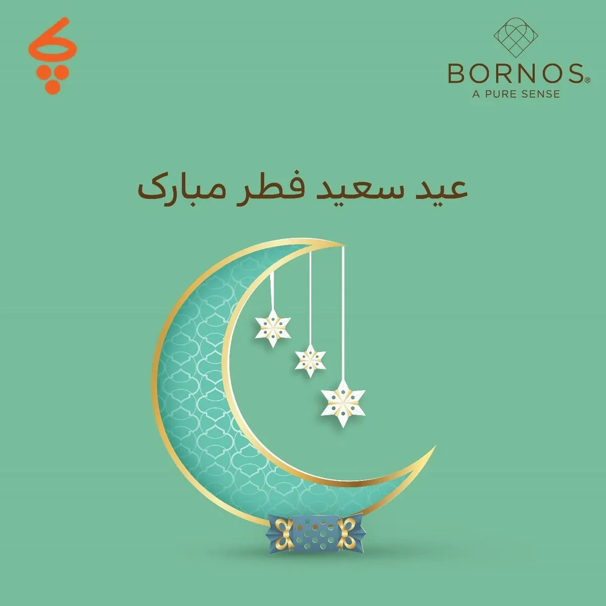 برای اولین بار در ایران فروش سازمانی لباس زنانه