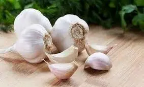 حقایقی باورنکردنی درباره سیر