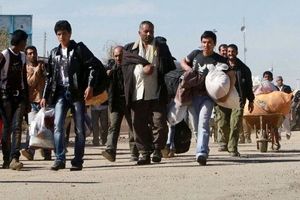 هشدار جدی به تمام ایرانیان: مواظب باشید از افغان ها سل نگیرید!