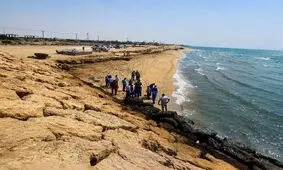 موج جدید آلودگی نفتی در سوزای قشم مشاهده شد

