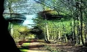 بگوئید اول چه چیزی را دیدید تا بگوییم چقدر تلاش می کنید تا بقیه در آسایش باشند