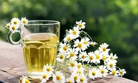 این گیاه استرس را از بین می‌برد