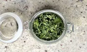 فوت‌وفن‌های خشک کردن نعناع