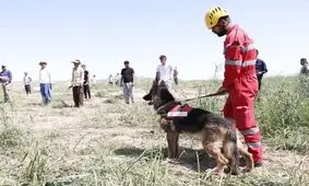 «یسنا» زنده پیدا شد/ ویدئو