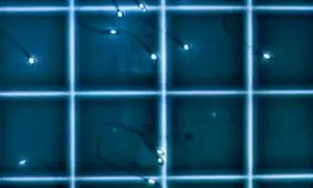 کشف جهشی که می‌تواند عامل ناباروری برخی مردان باشد

