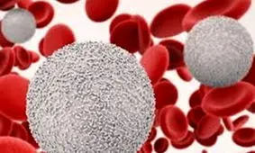 افت گلبول سفید خون، زنگ خطر سلامت بدن