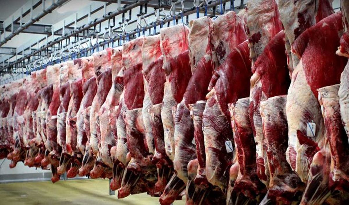 اجرای قانون منع کشتار دام‌ های مولد در زنجان اجرا می‌شود