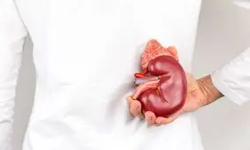 روزانه ۴ نفر در فارس به نارسایی کلیه دچار می‌شوند