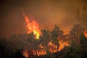 آتش سوزی گسترده در یونان ، حدود ۱۹ هزار نفر از جزیره رودس تخلیه شدند
