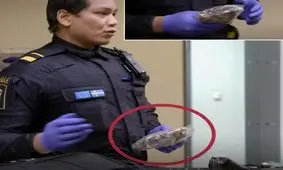 عنبرنسا در چمدان مسافر ایرانی در فرودگاه سوئد