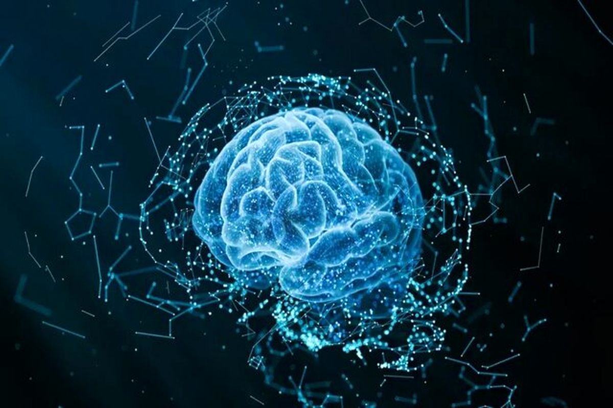 چرا افراد بعضی چیزها را به خاطر میآورند و بعضی چیزها از یاد میبرند؟