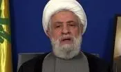 شیخ نعیم قاسم: ایستادگی لبنان ثمره همکاری ارتش، ملت و مقاومت بود
