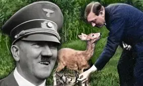 ۱۵ حقیقت شگفت انگیز درباره آدولف هیتلر؛ از سبیل مسواکی تا نفرت از سحرخیزی