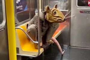 حضور موش غول پیکر در مترو نیویورک/ ویدئو
