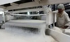 قیمت شکر به سرنوشت گوشت دچار شد؟

