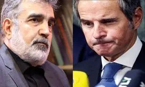 گروسی از اظهارات رسانه‌ای غیرحرفه‌ای و با رنگ و بوی سیاسی فاصله بگیرد