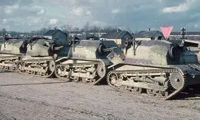 استتار به سبک ژاپنی!/عکس