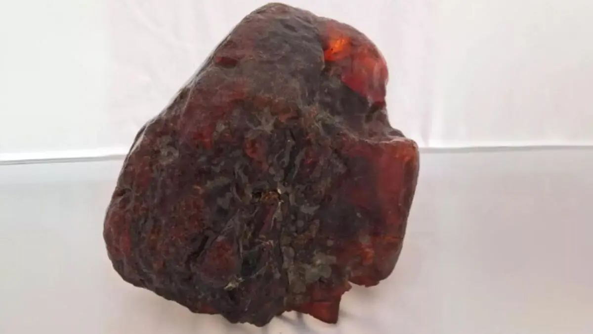 سنگی که ۳۰ سال به عنوان نگه‌دارنده در خانه استفاده می‌شد، گنج یک میلیون دلاری از آب درآمد
