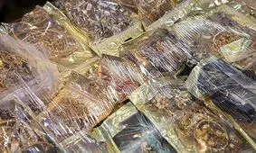 از اموال مسروقه مشتریان بانک ملی چه خبر؟