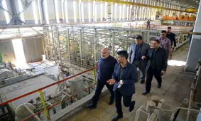 استاندار خوزستان: چالش‌های پیش رو برای تامین برق باید مدیریت شود