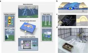 تشخیص میدان‌های الکتریکی ضعیف؛ اختراع جدید دانشمندان

