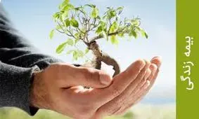 معرفی انواع بیمه در ایران: بیمه کارکنان دولت/ ویدئو 