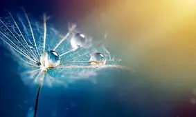 استخراج آب از هوا بدون مصرف انرژی ممکن شد!

