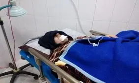 گرگ ۲ شهروند در هشجین خلخال را روانه بیمارستان کرد