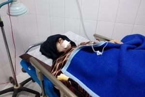 گرگ ۲ شهروند در هشجین خلخال را روانه بیمارستان کرد