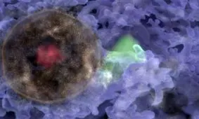 کشف حیرت انگیز حباب کهکشانی برای اولین بار