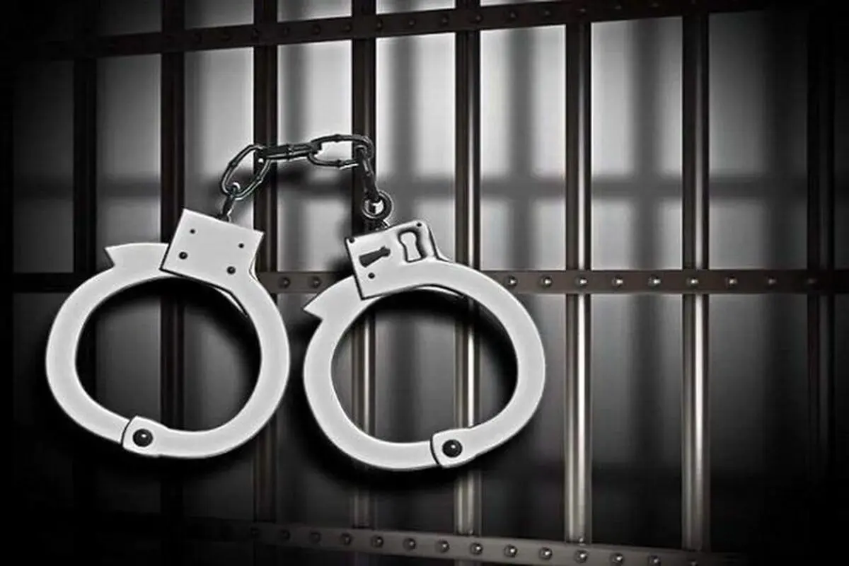 همسر متهم ردیف اول پرونده «رضایت خودرو» دستگیر شد

