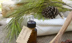 آشنایی با فواید باورنکردنی روغن چوب سدر