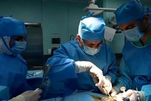 بوتاکس معده برای کاهش وزن مناسب است؟