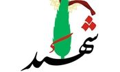 کارشناس علوم آزمایشگاهی دانشگاه علوم پزشکی ایران به شهادت رسید/ عکس

