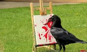 مهارت باورنکردنی یک کلاغ در کشیدن نقاشی!/ ویدئو

