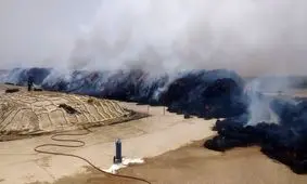 انبار علوفه کشت و دام قیام در شاهین‌شهر طعمه حریق شد