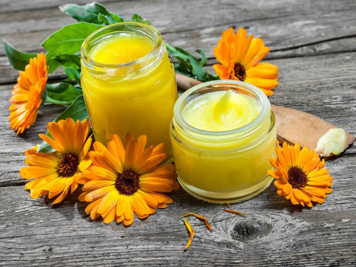 گل همیشه بهار چه خواصی دارد؟