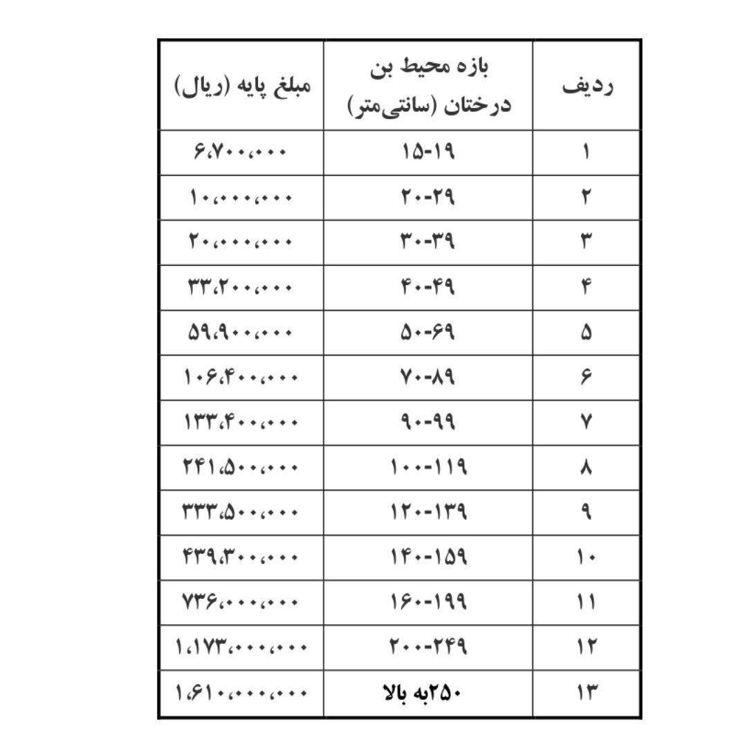 اجاره درخت؛ راه جدید برای پایان کار ساخت‌وسازها؛ درخت‌کُشی‌ها آسان‌تر هم شد