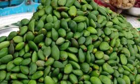 گزارش روزنامه دولت از چغاله بادام ۷۰۰ هزار تومانی و گوجه سبز ۲ میلیون تومانی