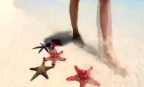 ماجرای پخش صحنه ناهنجار در شبکه سلامت/ خاطیان برکنار شدند/ویدیو