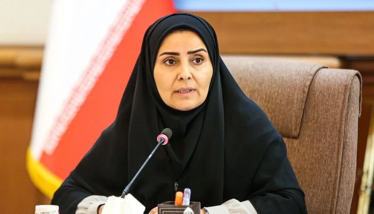 وزیر راه: قول‌هایی داده شده و امیدواریم به زودی مرز هوایی نجف باز شود