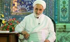 کنترل نسل و تنظیم خانواده ضد قرآن است/ ویدئو