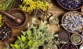 معرفی داروهای گیاهی برای بهبود بیماری‌های دهان