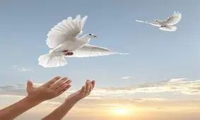 رکورد آزادسازی زندانیان توسط یک خیر رامهرمزی شکسته شد