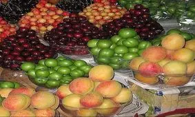 نوبرانه هایی که کمتر کسی توان خرید آن ها را دارد