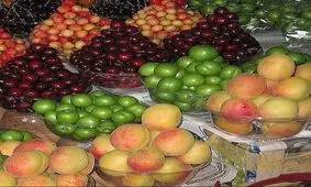 نوبرانه هایی که کمتر کسی توان خرید آن ها را دارد