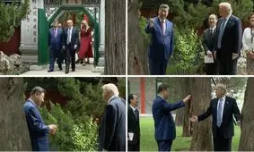 چگونه شی جین‌پینگ در یک پیاده‌روی، پوتین را پیش ترامپ لو داد!